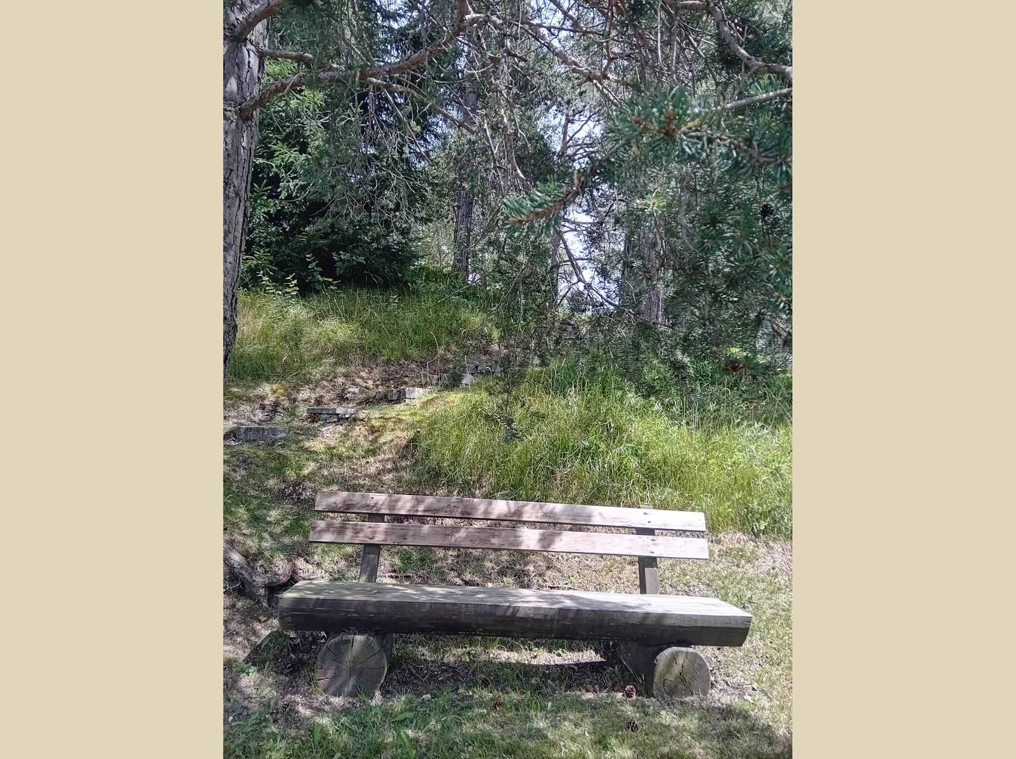 Slide 12
